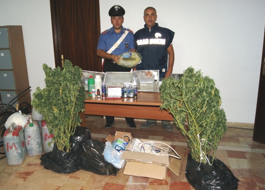 Bivona, fratelli in manette per coltivazione di Marjuana